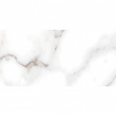 Керамическая плитка глянцевая Grigio TWU09GRG007 50x25 7мм  белый Alma Ceramica