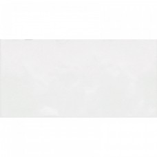 Керамическая плитка глянцевая TWU09MNR030 Monocolor 50x25 8мм  белый Alma Ceramica