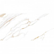 Керамическая плитка глянцевая Dublin TWU09DBL004 50x25 7мм  белый Alma Ceramica