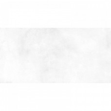 Керамическая плитка глянцевая Richard TWU09RCD000 50x25 7мм серый Alma Ceramica Керамическая плитка глянцевая Richard TWU09RCD000 50x25 7мм серый Alma Ceramica