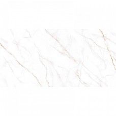 Керамогранит матовая Neo Calacatta GFU60120NCL04R 120x60 8.5мм  белый Alma Ceramica