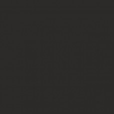 Керамогранит матовая Twin GFU04WIN20R 60x60 9мм  черный Alma Ceramica