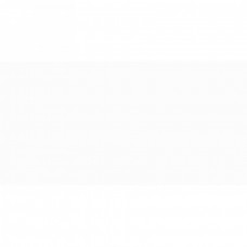 Керамическая плитка матовая Miloni TWU2550MLN00 50x25 7мм  белый Alma Ceramica