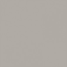 Керамогранит матовая Spector GFU6060SPR70R 60x60 9мм  серый Alma Ceramica