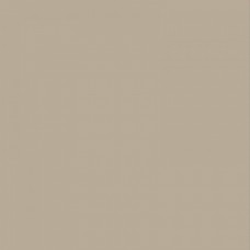 Керамогранит матовая Spector GFU6060SPR08R 60x60 9мм  бежевый Alma Ceramica