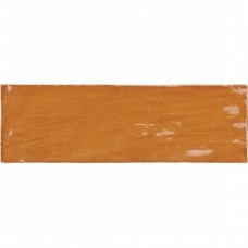 Керамическая плитка глянцевая La Riviera 25843 Ginger 20x7 8мм  оранжевый Equipe
