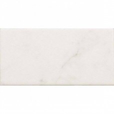 Керамическая плитка глянцевая Carrara 23079 15x8 9мм  белый Equipe