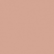 Керамогранит матовая Bauhome 27681 Rose 20x20 9мм  розовый Equipe