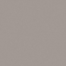 Керамогранит матовая Rainbow 22703 RW03/NS_R10/60x60x10R/UC Light Grey 60x60 10мм  серый Estima