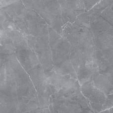 Керамогранит матовая Silk Base Gilio Matt 60x60 10мм  серый Exagres