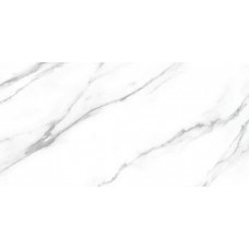 Керамогранит глянцевая Carrara Dec B 120x60 10мм  белый Fanal