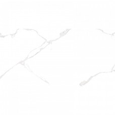 Керамическая плитка глянцевая WT9ELT00 Bianco Carrara 50x25 9мм  белый AltaCera
