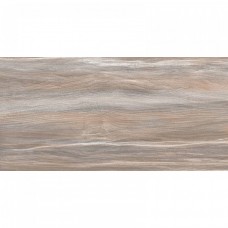 Керамическая плитка глянцевая Esprit WT9ESR21 Wood 50x25 9мм  коричневый AltaCera
