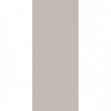 Керамическая плитка матовая True Color fTDU Fossil Matt Rt 120x50 8.5мм  серый FAP Ceramiche