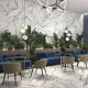 Oikos