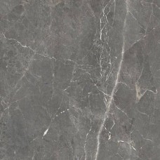 Керамогранит глянцевая Tulip GT606012109SPR Темно-Серый 60x60 9.5мм  серый Global Tile