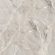 Керамогранит глянцевая Tulip GT606012101SPR серый 60x60 9.5мм Global Tile Керамогранит глянцевая Tulip GT606012101SPR серый 60x60 9.5мм Global Tile