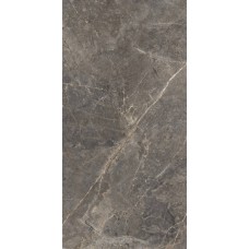 Керамогранит матовая Salsa GT1206023109MGR Темно-серый 120x60 10мм  серый Global Tile