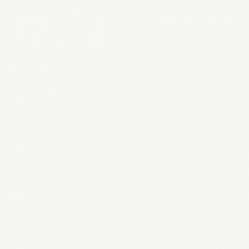 Керамогранит матовая Coverlam 78BA01M Basic Nieve Natural 300x100 5.6мм  белый Grespania