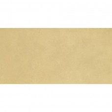 Керамогранит матовая Retina RTN6 SENAP12 RM 120x60 6.5мм  оранжевый Imola Ceramica