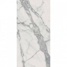 Керамогранит матовая Шарм Эво 610010001410 Статуарио Нат. 120x60 9мм  серый Italon