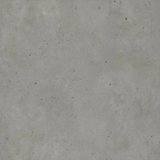 Керамогранит матовая Авангард 600010001807 Айрон Ret 120x120 9мм  серый Italon