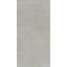 Керамогранит матовая Авангард X2 600010002421 Сильвер Рет 120x60 20мм  серый Italon