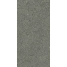 Керамогранит матовая Форум 610010004169 Стоун Айрон Рет 120x60 9мм серый Italon Керамогранит матовая Форум 610010004169 Стоун Айрон Рет 120x60 9мм серый Italon