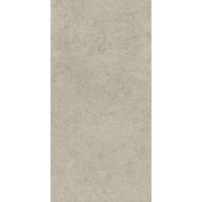 Керамогранит матовая Форум 610010004170 Стоун Дезерт Рет 120x60 9мм  бежевый Italon