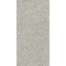 Керамогранит матовая Форум 610010004168 Стоун Сильвер Рет 120x60 9мм  серый Italon