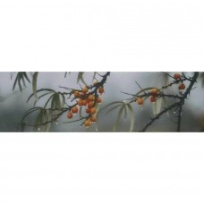 Декор глянцевая Тракай OS\A119\9016 7 Глянцевый 29x9 8.5мм зеленый Kerama Marazzi Декор глянцевая Тракай OS\A119\9016 7 Глянцевый 29x9 8.5мм зеленый Kerama Marazzi