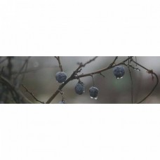 Декор глянцевая Тракай OS\A120\9016 8 Глянцевый 29x9 8.5мм  синий Kerama Marazzi