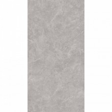 Керамогранит матовая Oviedo SL1002-A Gris Solido 120x60 8мм  серый Arcadia Ceramica