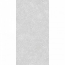 Керамогранит матовая Oviedo SL1003-A Silver Solido 120x60 8мм  серый Arcadia Ceramica