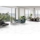Atlantic White