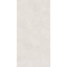 Керамогранит матовая Иней 6493-0137 светло-серый 120x60 8мм  серый Lasselsberger Ceramics