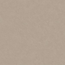 Керамогранит матовая Nevel 8080NVL18M Taupe матовый граниль 80x80 8мм  коричневый LCM