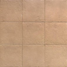 Керамогранит матовая Four Seasons PT03858 Canem Season 20x20 8.3мм  коричневый Mainzu