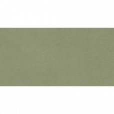 Керамическая плитка матовая Multiforme I858 Muschio Rt 80x40 8.5мм  зеленый Marca Corona
