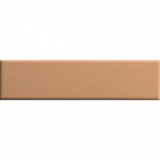 Керамическая плитка матовая Biscuit 4100613 Plain Terra 20x5 9мм  коричневый 41ZERO42