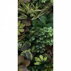 Декор матовая Paper41 Pro 4100153 Jane C 100x50 3.5мм  зеленый 41ZERO42