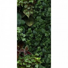 Декор матовая Paper41 Pro 4100154 Jane D 100x50 3.5мм  зеленый 41ZERO42