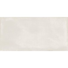 Керамогранит матовая Element ELEPLAT60120 Platinum Rett 120x60 9мм  белый MGM Ceramiche