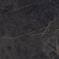 Керамогранит лаппатированная Epoque PF60004311 Black Lap 60x60 8мм  черный Ariana