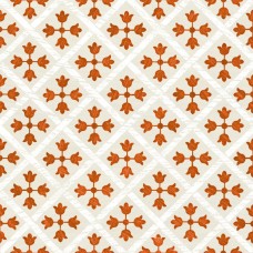 Керамогранит сатинированная Guadalupe Cotto 19x19 8мм  оранжевый Monopole