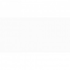 Керамическая плитка глянцевая Edelweiss WT36EDW00 White 60x30 9мм  белый New Trend