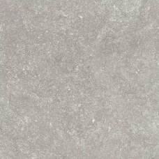 Керамогранит матовая 69483 Specter Blue Matt 20mm 60x60 20мм  серый Novin Ceram