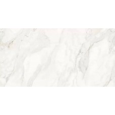 Керамогранит полированная N9610T46 Damoon Gray Polished Rect 120x60 9мм  белый Novin Ceram