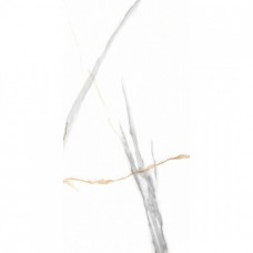 Керамогранит матовая Marmo NTT99513M Maritaca Statuario Ultra White 120x60 9мм  белый NT Ceramic