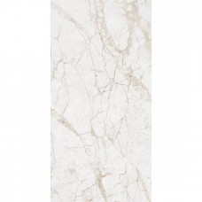 Керамогранит матовая Marmo NTT99519M Impero Grey Carving 120x60 9мм  белый NT Ceramic